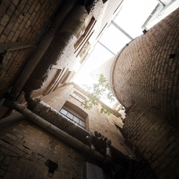 DSC08902_ps